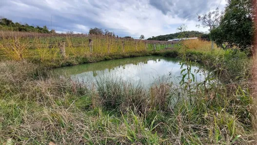 Fazenda/Sítio à venda, 120000m² no , Garibaldi