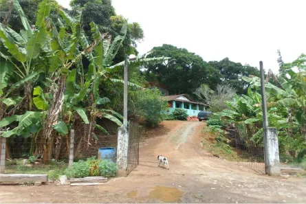 Fazenda/Sítio à venda, 54000m² no Centro, Cabo de Santo Agostinho