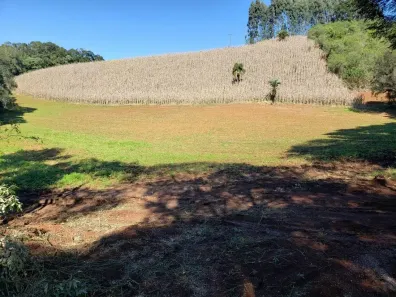 Fazenda/Sítio à venda, 147620m² no Jardim São José, Almirante Tamandaré