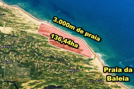 Lote/Terreno à venda, 5000m² no Baleia, Itapipoca