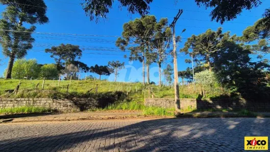 Lote/Terreno à venda, 1025m² no Nova Petrópolis, Nova Petrópolis