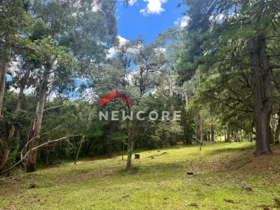 Fazenda/Sítio com 1 Quarto à venda, 5000m² no Centro, São Francisco de Paula