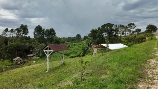 Fazenda/Sítio com 7 Quartos à venda, 10000m² no Roseira, Colombo