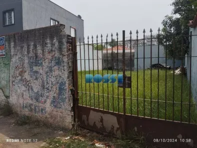 Lote/Terreno à venda, 310m² no Jardim Avelino, São Paulo