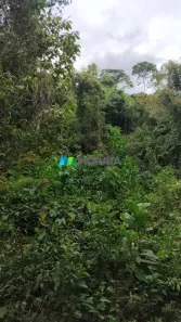 Fazenda/Sítio com 1 Quarto à venda, 48m² no Cachoeira de Santa Cruz, Viçosa