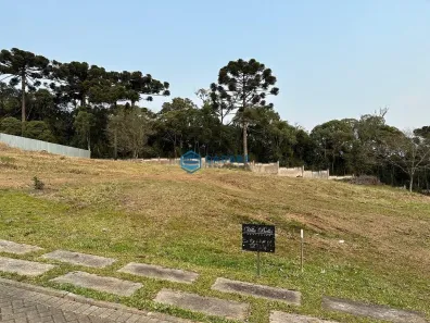 Lote/Terreno à venda, 1000m² no Serrano, Caxias do Sul