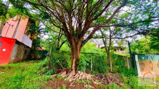 Lote/Terreno à venda, 390m² no Jardim Paulista, Atibaia
