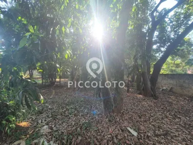 Fazenda/Sítio com 2 Quartos à venda, 1250m² no Chácara Santa Margarida, Campinas
