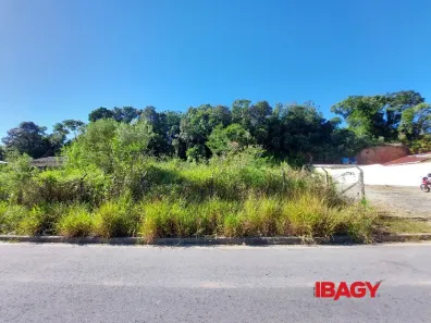 Lote/Terreno para alugar, 420m² no Forquilhas, São José