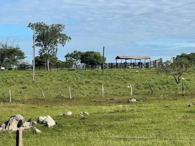 Fazenda/Sítio com 3 Quartos à venda, 180m² no , Nobres