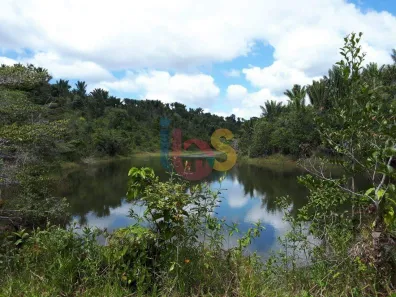 Fazenda/Sítio à venda, 400000m² no , Una