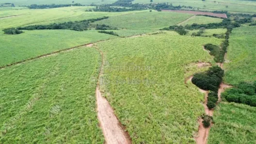 Fazenda/Sítio à venda, 240m² no Área Rural de Olímpia, Olímpia