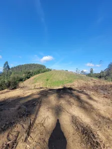 Lote/Terreno à venda, 81949m² no Bateias de Cima, Campo Alegre