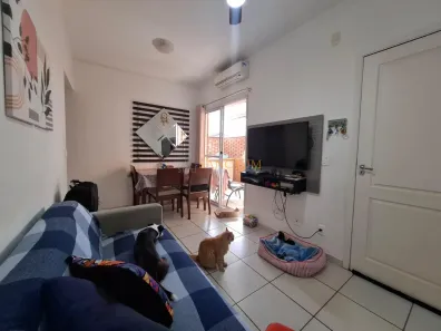 Apartamento com 2 Quartos à venda, 52m² no Vila Ipê, Campinas