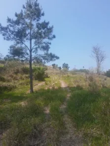 Fazenda/Sítio à venda, 20000m² no , Morungaba