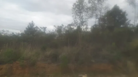 Lote/Terreno à venda, 72600m² no , Campo Magro