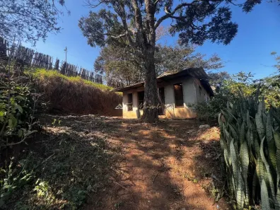 Fazenda/Sítio à venda, 6500m² no , Gonçalves