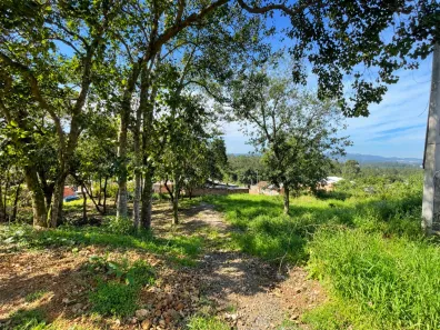 Lote/Terreno à venda, 362m² no Metropol, Criciúma