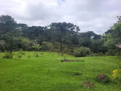 Lote/Terreno à venda, 85m² no , Campo Alegre