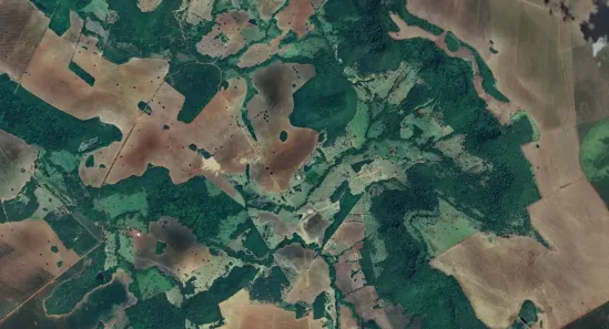 Fazenda/Sítio à venda, 1116000m² no , Pontalina