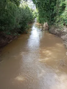 Fazenda/Sítio com 1 Quarto à venda, 72600m² no , Angatuba