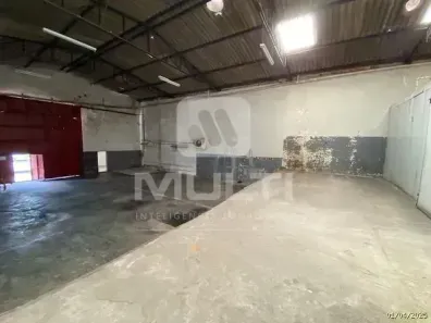 Casa com 1 Quarto para alugar, 360m² no Tibery, Uberlândia