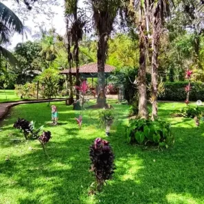Fazenda/Sítio com 3 Quartos à venda, 15000m² no Vila dos Ferroviarios, Morretes