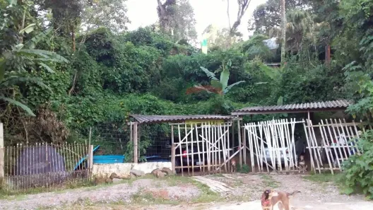 Fazenda/Sítio à venda, 2438m² no Mantiqueira, Mairiporã