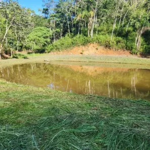 Fazenda/Sítio à venda, 24200000m² no Quiririm, Taubaté