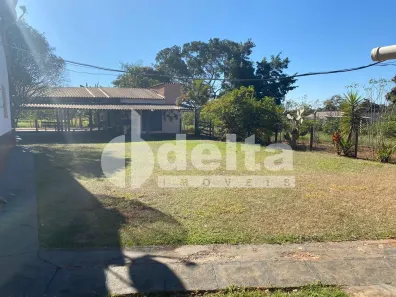 Fazenda/Sítio com 4 Quartos à venda, 300m² no Área Rural de Uberlândia, Uberlândia