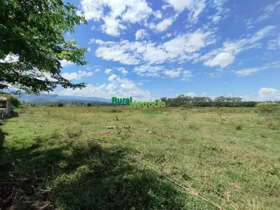 Fazenda/Sítio à venda, 33000m² no Bom Sucesso, Pindamonhangaba