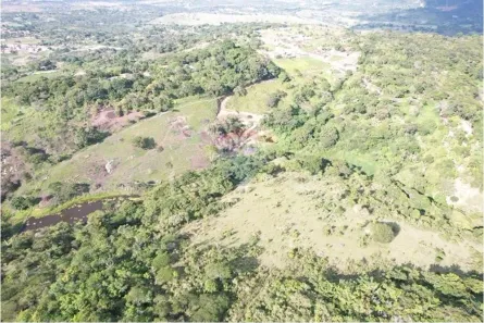 Fazenda/Sítio com 2 Quartos à venda, 12000m² no Murici, Caruaru