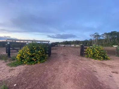 com 3 Quartos à venda, 450m² no , Juara
