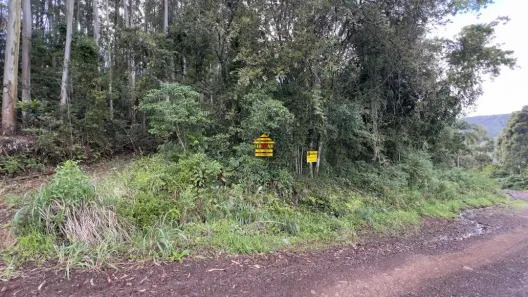 à venda, 5000m² no , Ivoti
