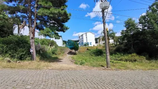 Lote/Terreno à venda, 315m² no De Zorzi, Caxias do Sul