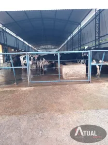 Fazenda/Sítio com 3 Quartos à venda, 800m² no Centro, Pouso Alegre