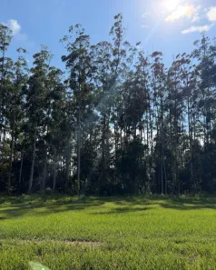 Lote/Terreno à venda, 583m² no Thermas de Santa Bárbara, Águas de Santa Bárbara
