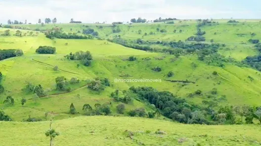 Fazenda/Sítio à venda, 770000m² no , Guaraniaçu