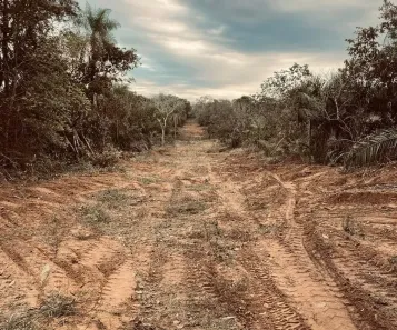 Fazenda/Sítio à venda, 4120000m² no , Miranda