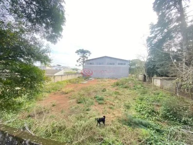 Lote/Terreno à venda, 960m² no Alto Tarumã, Pinhais