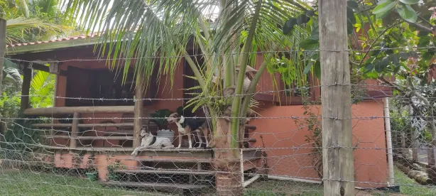 Casa com 2 Quartos à venda, 260m² no Velha Boipeba, Cairu