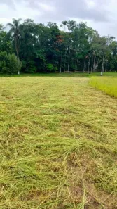 Lote/Terreno para alugar, 1000m² no Jardim São Gabriel, Jacareí