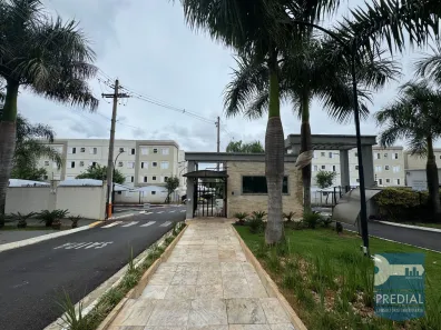 Apartamento com 2 Quartos para alugar, 45m² no Residencial Monsenhor Romeu Tortorelli, São Carlos