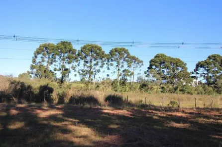 Galpão/Depósito/Armazém à venda, 12510m² no Campo Largo da Roseira, São José dos Pinhais