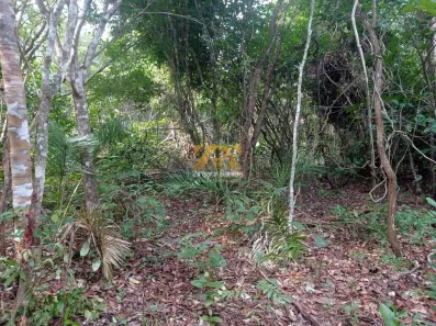 Lote/Terreno com 1 Quarto à venda, 109m² no , Marianópolis do Tocantins