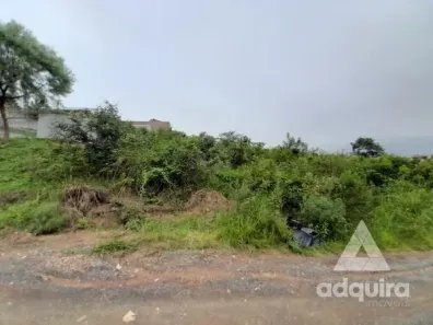 Lote/Terreno à venda, 490m² no Uvaranas, Ponta Grossa