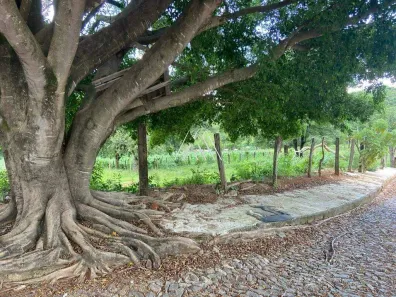 Lote/Terreno à venda, 300m² no Padre Eustáquio, Itaúna