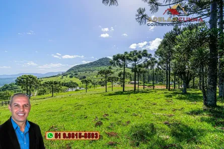 Fazenda/Sítio à venda, 180000m² no Lajeadinho, Igrejinha