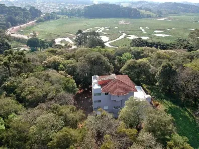 Fazenda/Sítio com 4 Quartos à venda, 4200m² no Vila David Antônio, Campo Largo