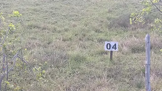 Lote/Terreno à venda, 350m² no Curralinho, Itaporanga D'Ajuda